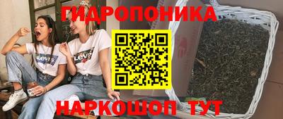 гашик Малоярославец